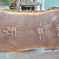 Goby Walnut Products Oregon Black Walnut Slab 060220-11 Green Slabs