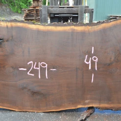 Goby Walnut Products Green Slabs Oregon Black Walnut Slab 060220-12