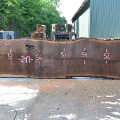 Goby Walnut Products Green Slabs Oregon Black Walnut Slab 060220-13