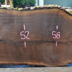 Goby Walnut Products Green Slabs Oregon Black Walnut Slab 060220-13