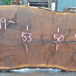 Goby Walnut Products Oregon Black Walnut Slab 060220-14