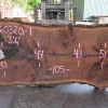 Goby Walnut Products Oregon Black Walnut Slab 060320-01 Green Slabs
