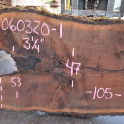 Goby Walnut Products Oregon Black Walnut Slab 060320-01 Green Slabs