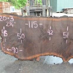 Goby Walnut Products Oregon Black Walnut Slab 060320-03 Green Slabs