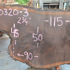 Goby Walnut Products Oregon Black Walnut Slab 060320-03 Green Slabs