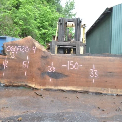 Goby Walnut Products Green Slabs Oregon Black Walnut Slab 060520-04