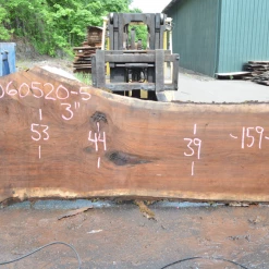 Goby Walnut Products Oregon Black Walnut Slab 060520-05 Green Slabs