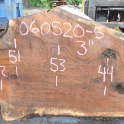 Goby Walnut Products Oregon Black Walnut Slab 060520-05 Green Slabs