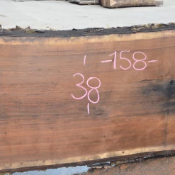 Goby Walnut Products Oregon Black Walnut Slab 060520-06 Green Slabs