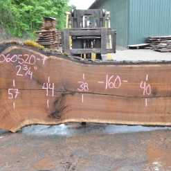Goby Walnut Products Oregon Black Walnut Slab 060520-07 Green Slabs