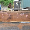 Goby Walnut Products Oregon Black Walnut Slab 060520-10