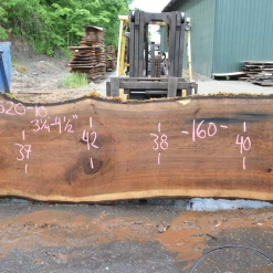 Goby Walnut Products Oregon Black Walnut Slab 060520-10