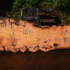 Goby Walnut Oregon Fir Slab 060716-01