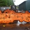Goby Walnut Green Slabs Oregon Fir Slab 060716-06