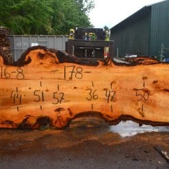 Goby Walnut Oregon Fir Slab 060716-08 Green Slabs