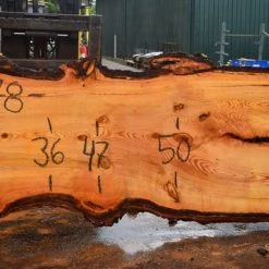 Goby Walnut Oregon Fir Slab 060716-08 Green Slabs
