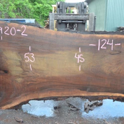 Goby Walnut Products Green Slabs Oregon Black Walnut Slab 060920-02