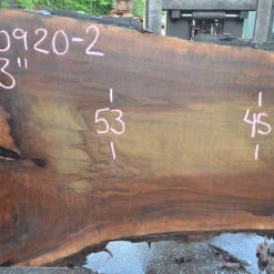 Goby Walnut Products Green Slabs Oregon Black Walnut Slab 060920-02