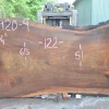 Goby Walnut Products Oregon Black Walnut Slab 060920-04 Green Slabs