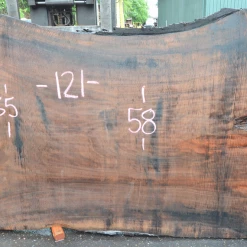 Goby Walnut Products Oregon Black Walnut Slab 060920-05