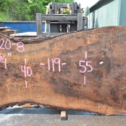 Goby Walnut Products Oregon Black Walnut Slab 060920-08