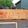 Goby Walnut Products Oregon Fir Slab 061220-04