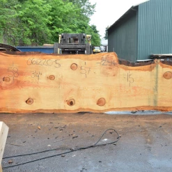 Goby Walnut Products Green Slabs Oregon Fir Slab 061220-05
