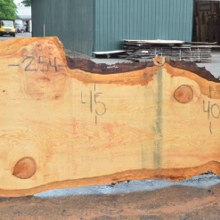 Goby Walnut Products Green Slabs Oregon Fir Slab 061220-05