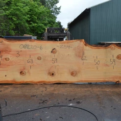 Goby Walnut Products Oregon Fir Slab 061220-06 Green Slabs