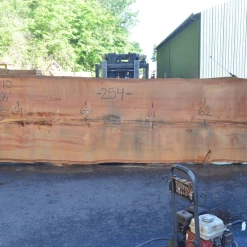 Goby Walnut Products Green Slabs Oregon Fir Slab 061220-10