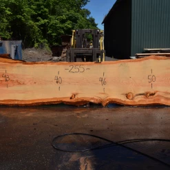 Goby Walnut Products Oregon Fir Slab 061220-14 Green Slabs