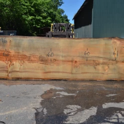 Goby Walnut Products Green Slabs Oregon Fir Slab 061220-16