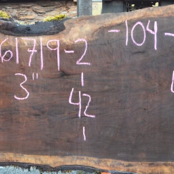 Goby Walnut Products 061719-02 Oregon Black Walnut Slab