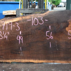 Goby Walnut Products 061719-03 Oregon Black Walnut Slab