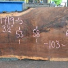 Goby Walnut Products 061719-05 Oregon Black Walnut Slab Green Slabs