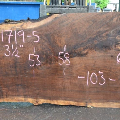Goby Walnut Products 061719-05 Oregon Black Walnut Slab Green Slabs