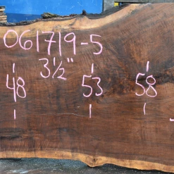 Goby Walnut Products 061719-05 Oregon Black Walnut Slab Green Slabs