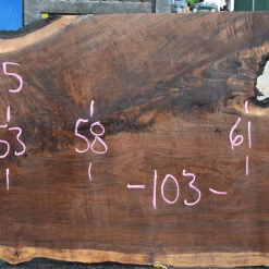 Goby Walnut Products 061719-05 Oregon Black Walnut Slab Green Slabs