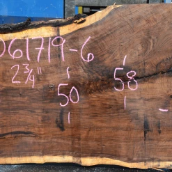 Goby Walnut Products 061719-06 Oregon Black Walnut Slab Green Slabs