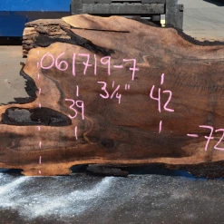 Goby Walnut Products Green Slabs 061719-07 Oregon Black Walnut Slab