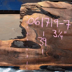 Goby Walnut Products Green Slabs 061719-07 Oregon Black Walnut Slab