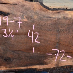 Goby Walnut Products Green Slabs 061719-07 Oregon Black Walnut Slab
