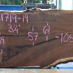 Goby Walnut Products 061719-14 Oregon Black Walnut Slab