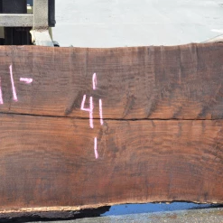 Goby Walnut Oregon Black Walnut 061720-08