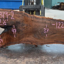 Goby Walnut Products 061819-02 Oregon Black Walnut Slab Green Slabs