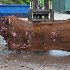 Goby Walnut Products 061819-07 Oregon Black Walnut Slab Green Slabs