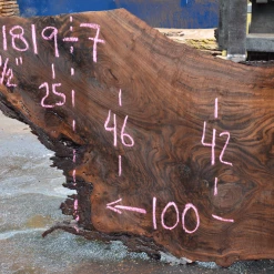 Goby Walnut Products 061819-07 Oregon Black Walnut Slab Green Slabs