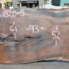 Goby Walnut Green Slabs Oregon Black Walnut 061820-04