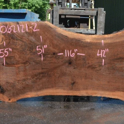 Goby Walnut Products Green Slabs Oregon Black Walnut Slab 062121-02