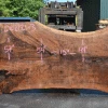 Goby Walnut Products Green Slabs Oregon Black Walnut Slab 062121-03